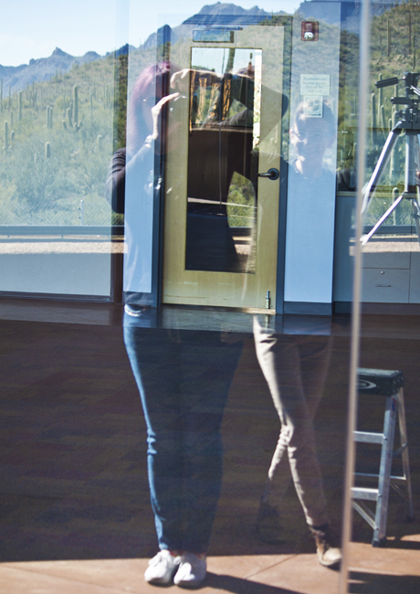 Sonoran Sage capturing her own reflection in a large plate glass window