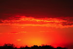 Thumbnail of orange_sunset.jpg