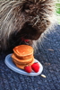 Thumbnail of porcupine_pancakes.jpg