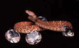 Thumbnail of rattlesnake_diamonds.jpg